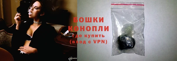 крисы Инта