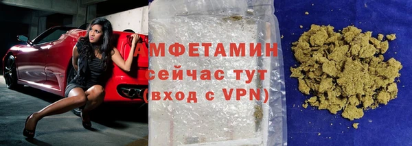 крисы Инта
