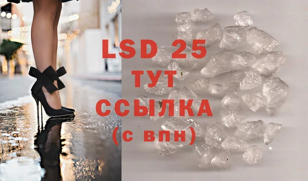крисы Инта