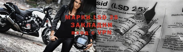 стафф Дмитровск