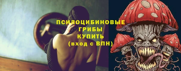 крисы Инта